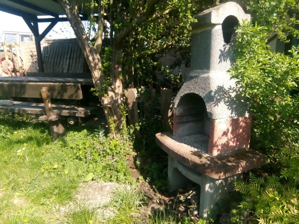 Weingut-Ferienhof Schaefer Apartment Gocklingen Bagian luar foto