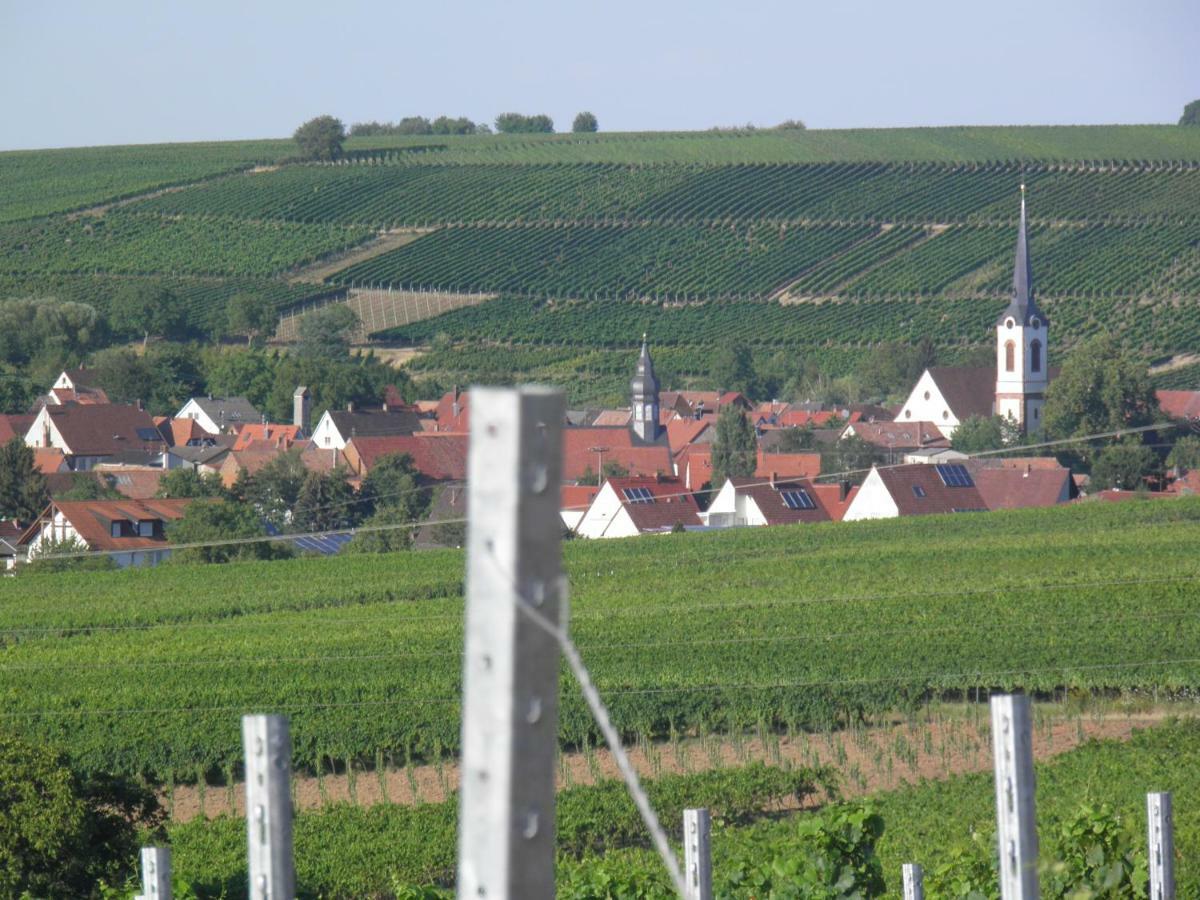 Weingut-Ferienhof Schaefer Apartment Gocklingen Bagian luar foto