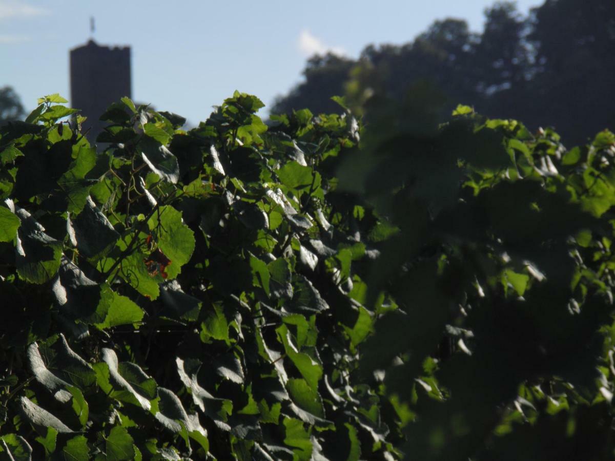 Weingut-Ferienhof Schaefer Apartment Gocklingen Bagian luar foto