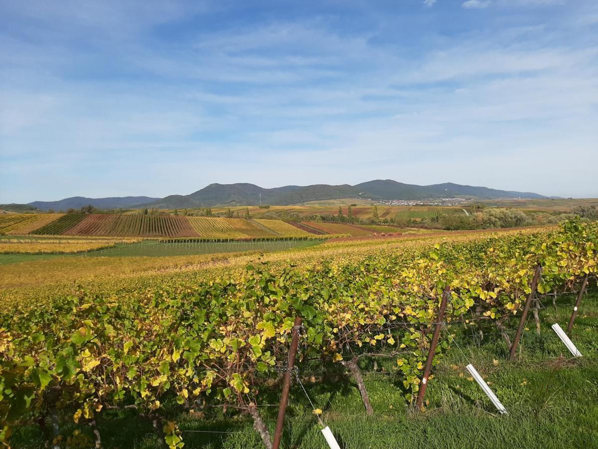 Weingut-Ferienhof Schaefer Apartment Gocklingen Bagian luar foto